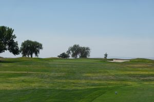 Silver Sage 10th
